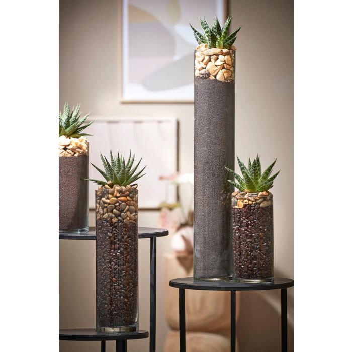 Cylinder glasvaser fyldt med dekorationssten og planter