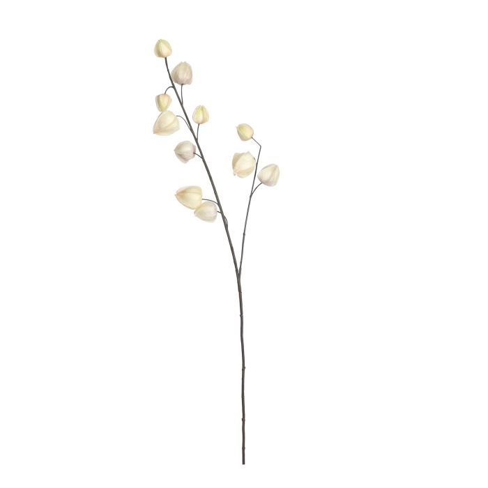 Kinesiske lamper creme