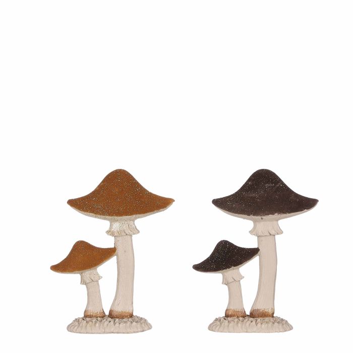 Brune svampe til dekoration