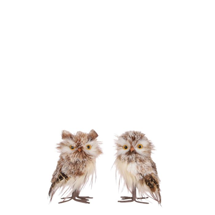 Brun og hvid ugle