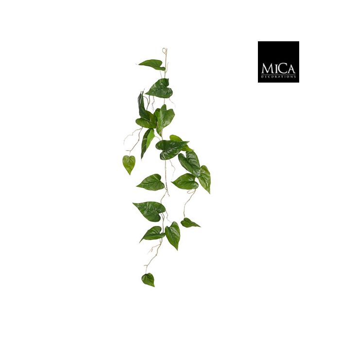 Philodendron bladranke 115 cm lang