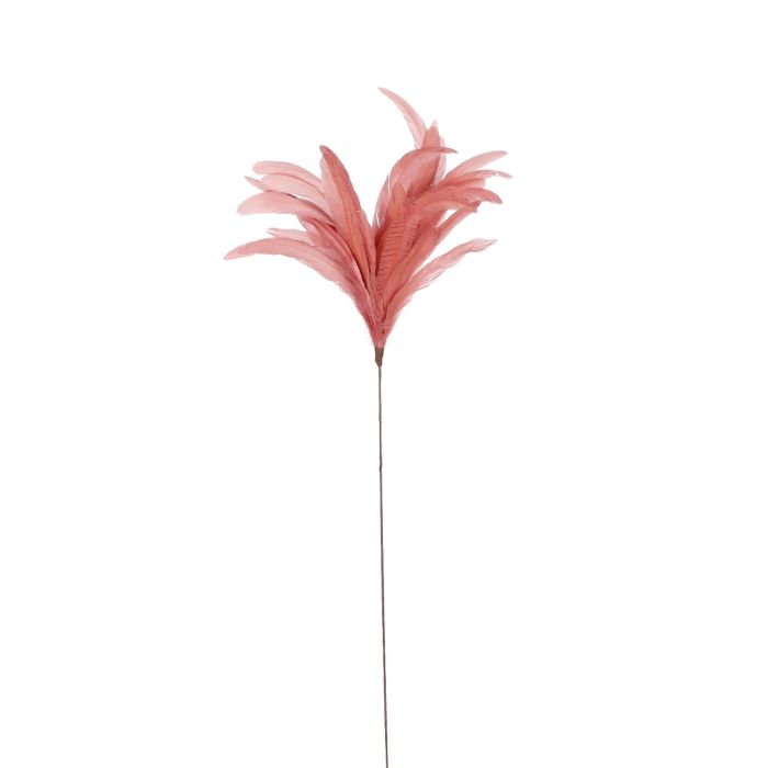 Fjerdusk lyserød fyldig med lang tynd stilk. Måler 80 cm i højden og 28 cm bred i toppen.