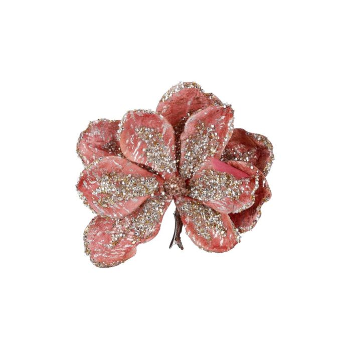 Magnolia med klips fersken