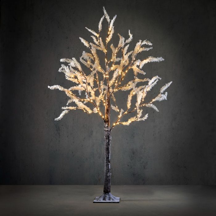 Lystræ 120 cm højt
