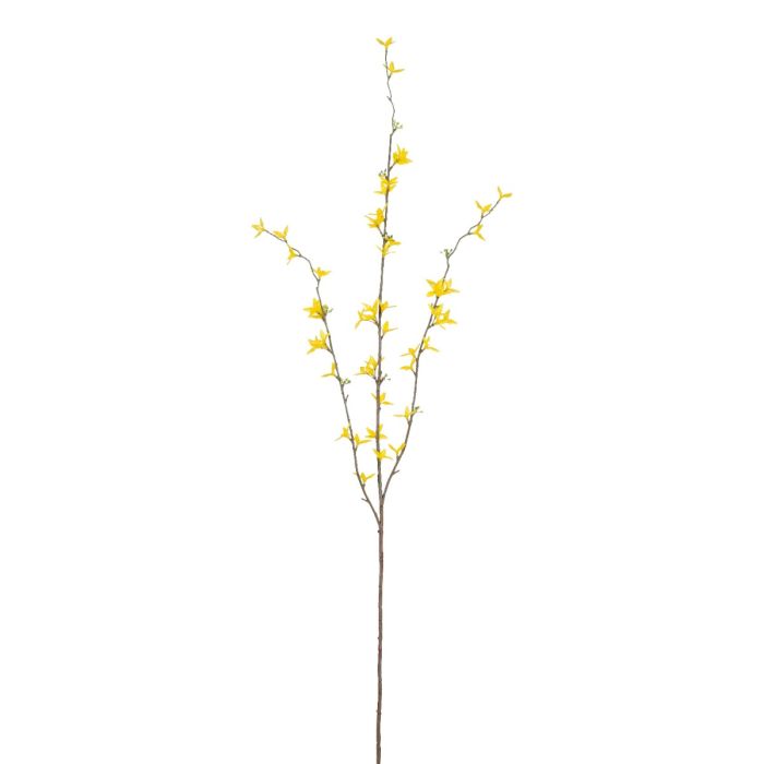 Forsythiagren 97 cm lang