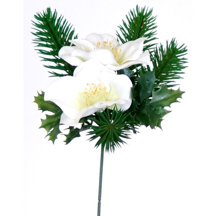 Julros Helleborus med grangrenar