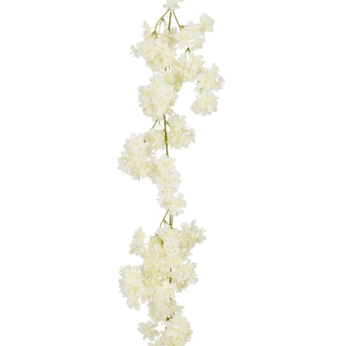 Blomsterranka med vita blommor