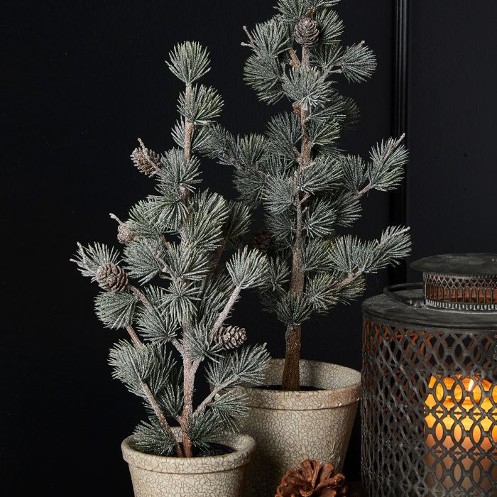 Lærketræ med sne og kogler 53 cm højt