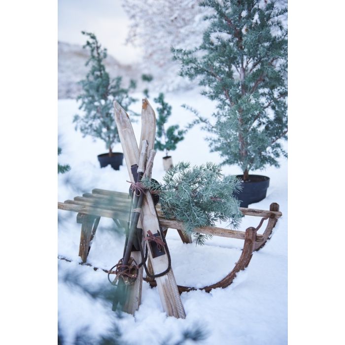 Stor trækælk til dekoration