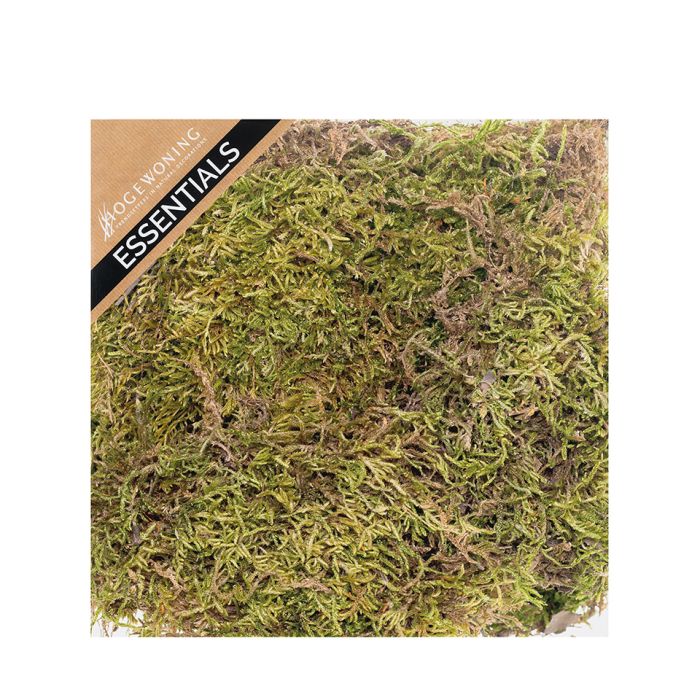 Grønt mos i æske. Indeholder ca. 35 g.