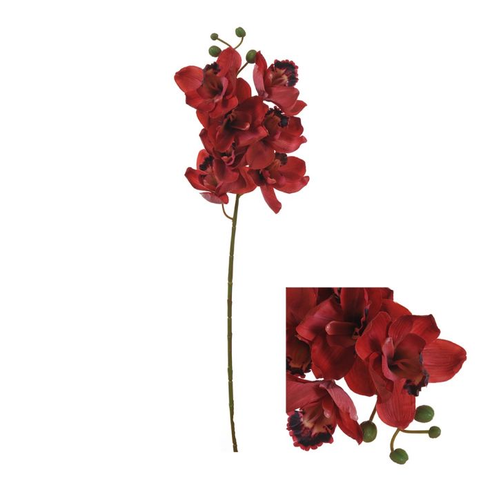 Orkidéstilk Cymbidium mørkerød