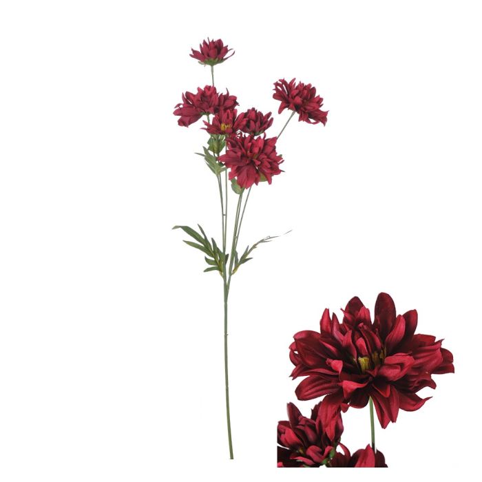 Blomstjälk Krysantemum röd