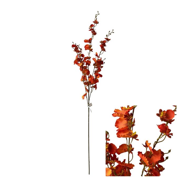 Orkidéstjälk Oncidium orange