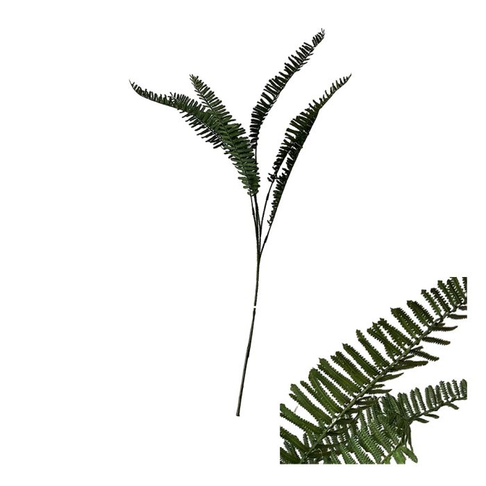 Stjälk med ormbunksblad