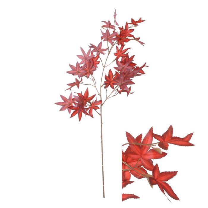 Gren med lönnblad i rött