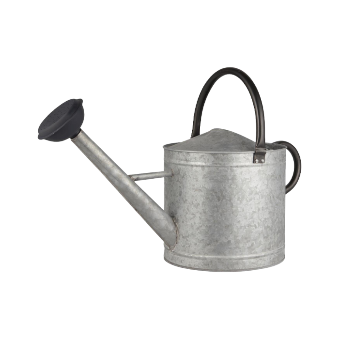 Vandekande i zink 9l