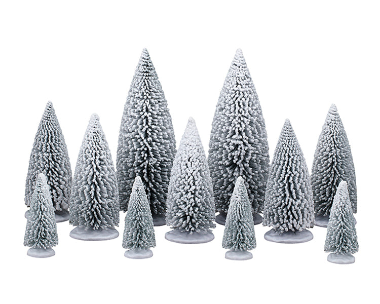 White Pine Trees 11-pak