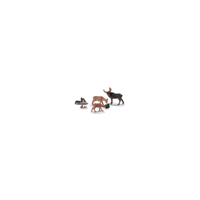 Wild Animals Set Of 5