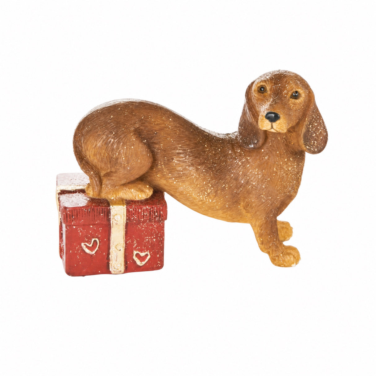 Hund eller katt med julklapp