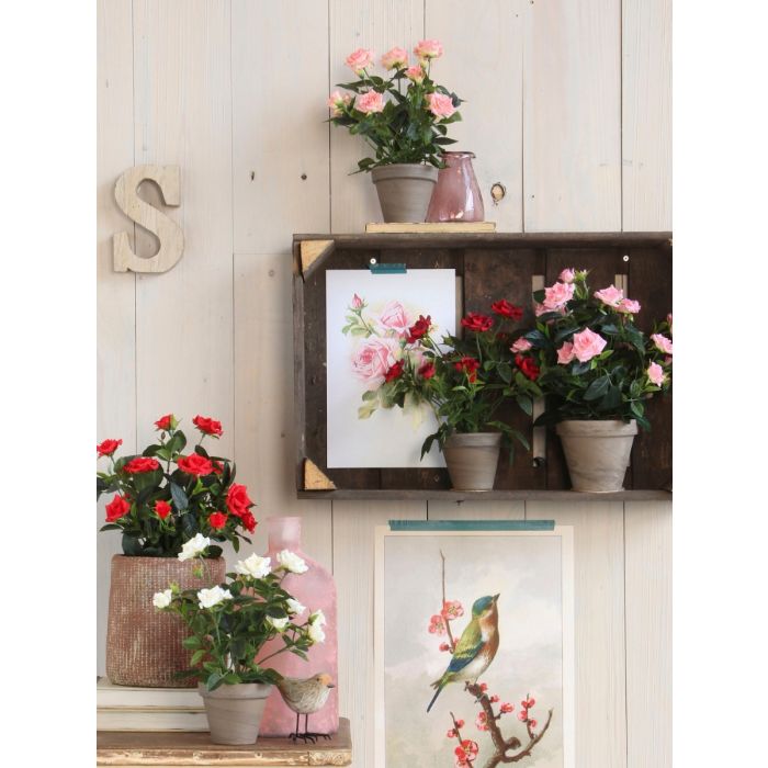 Rose hvid 33 cm høj