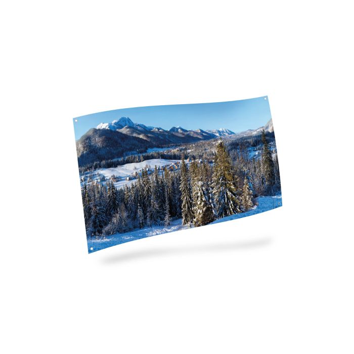 Baggrund med vinterby