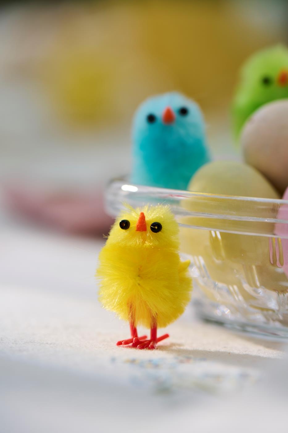 Påskekylling står foran skål med påskeæg og kyllinger