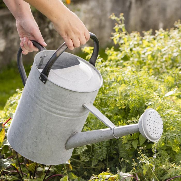 Vattenkanna med spruta 11 l zink