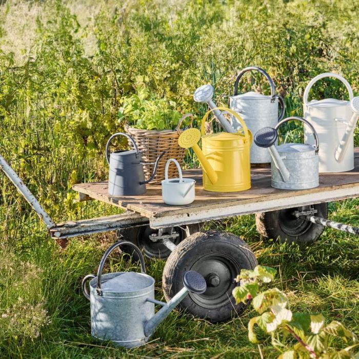 Vattenkanna med spruta 11 l zink