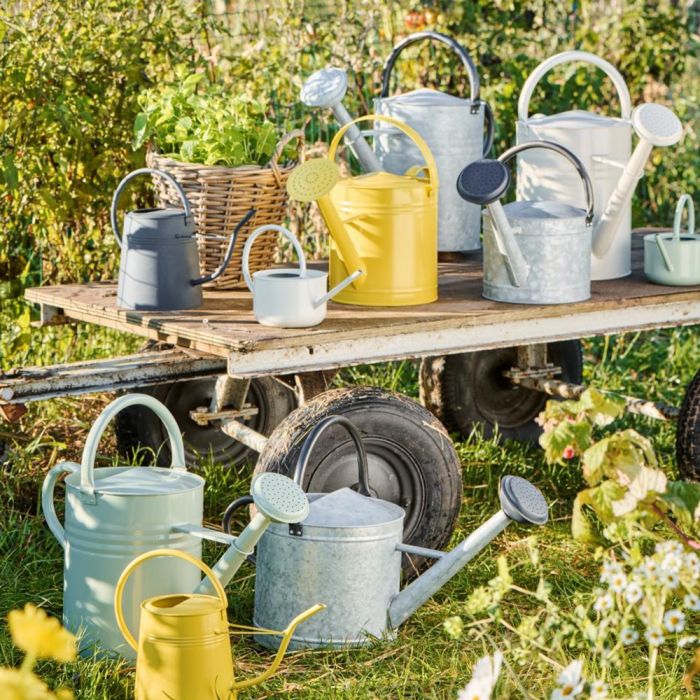 Vattenkanna med spruta 11 l zink