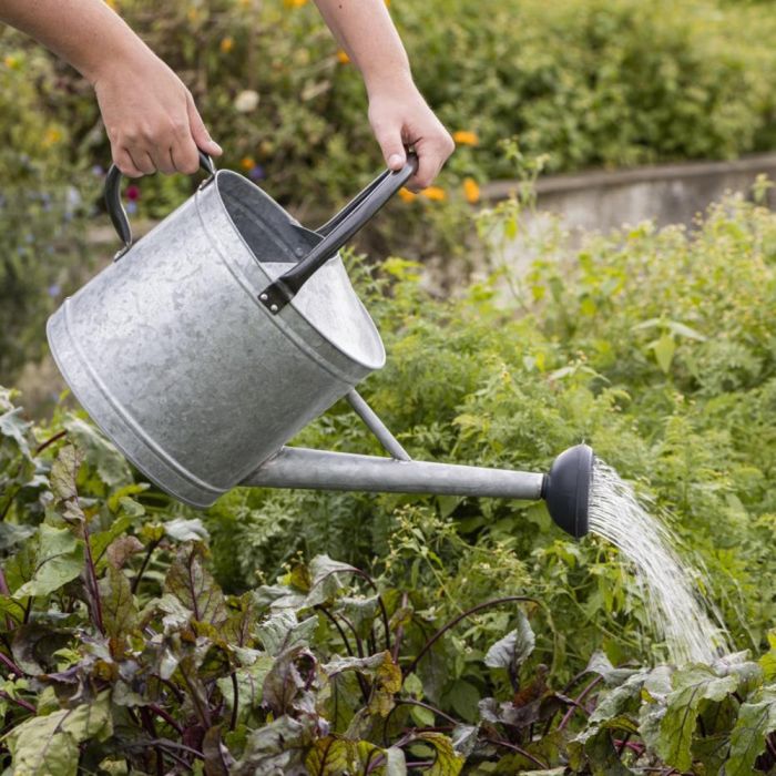 Vandekande i zink 9l