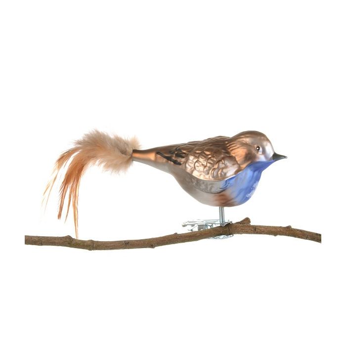 Hackspett fågel i glas med klämma