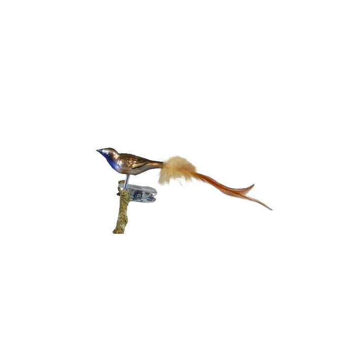 Blåhake fågel i glas med klämma