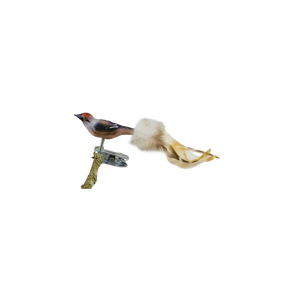 Fugl i glas med klips Kernebider