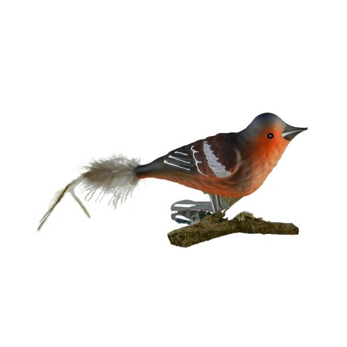 Bofink fågel med klämma i glas