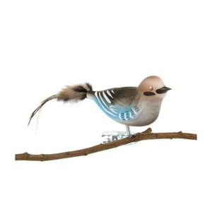 Nötskrika fågel i glas med klämma