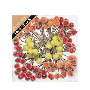 Frostede bær på wire flerfarvede