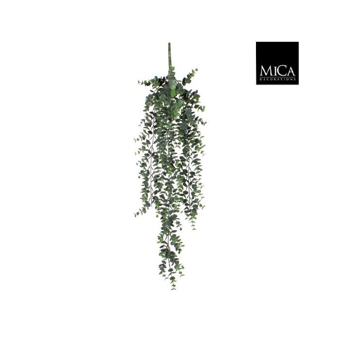 Hængeplante eukalyptus