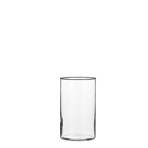 Cylinder glasvase 20 cm høj 12 cm i dia