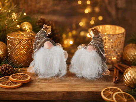 Liten tomte
