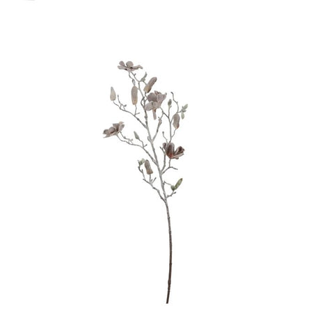 Magnolia brun 72 cm lang