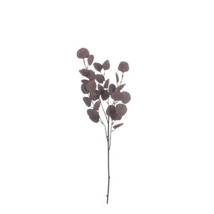 Eukalyptus lilla
