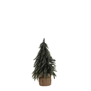 Grantræ 30 cm højt