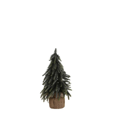 Grantræ 30 cm højt
