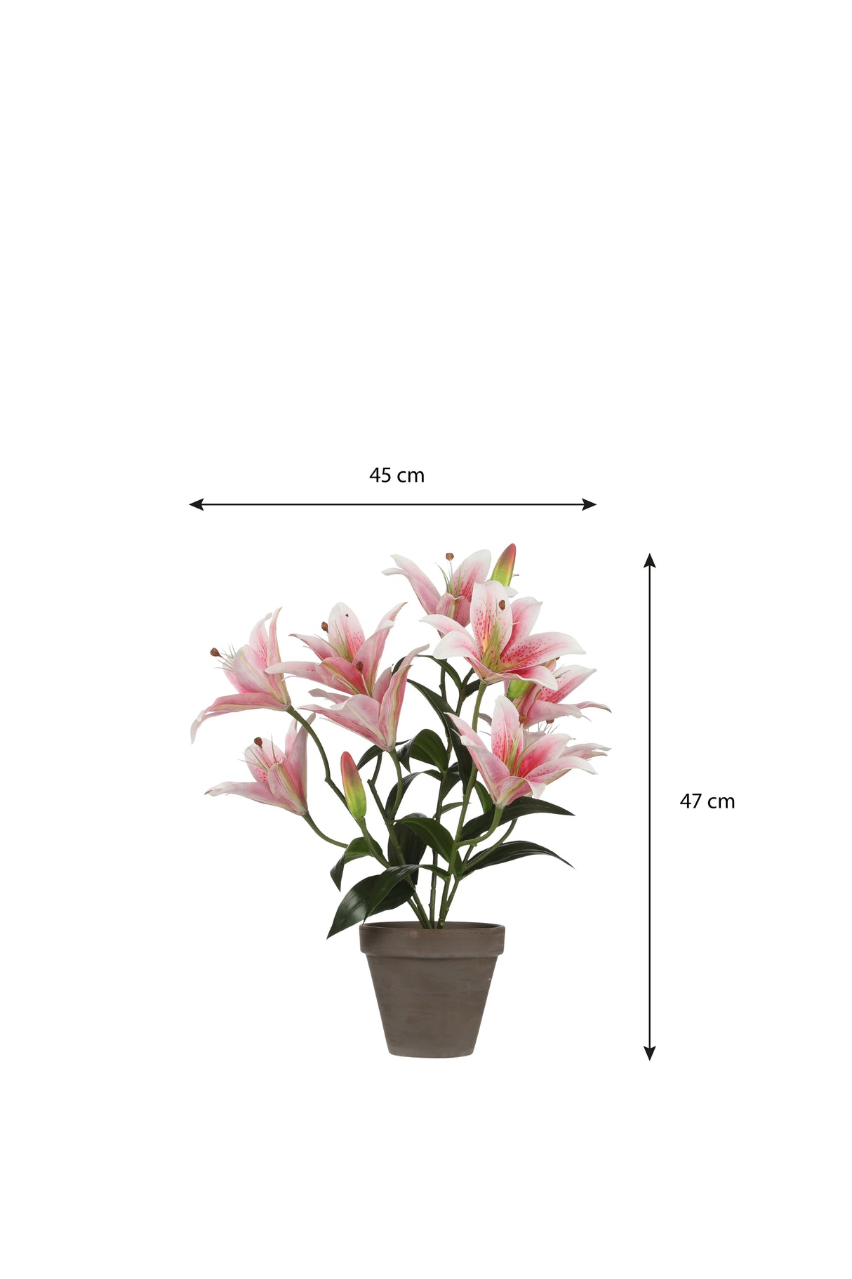 Kunstig tigerlilje med lyserøde blomster og målangivelser  