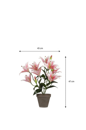Kunstig tigerlilje med lyserøde blomster og målangivelser  