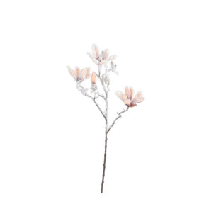 Magnolia beige