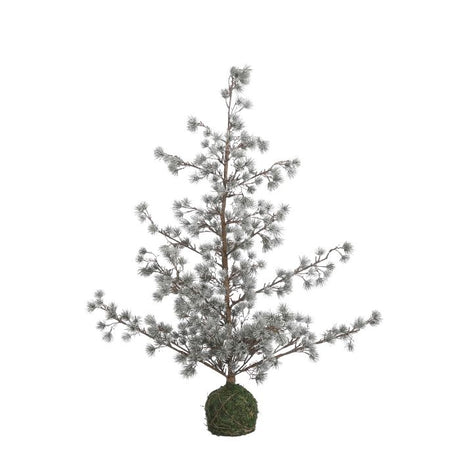 Lærketræ med let frost 90 cm højt