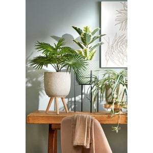 Palme 40 cm høj