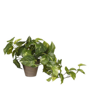 Pothos plante kunstig