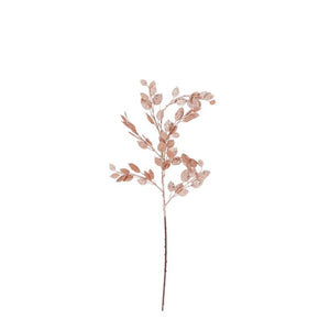 Money plant gren fersken 